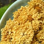 Golden Silk Thousand-Petal Dried Chrysanthemum Tea