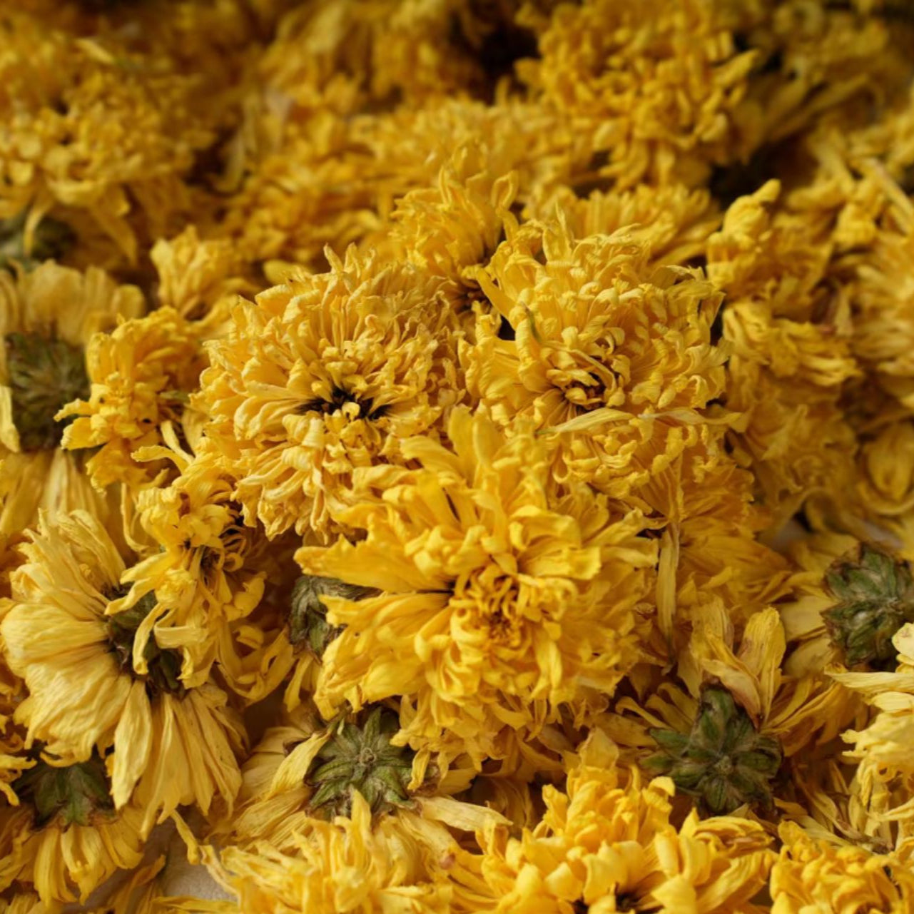 Golden Silk Thousand-Petal Dried Chrysanthemum Tea