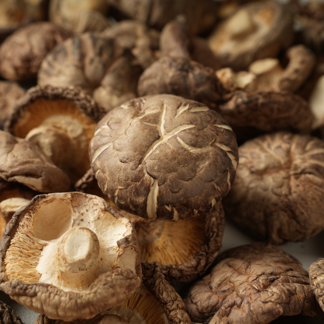 Premium Dried Mushroom for Cooking