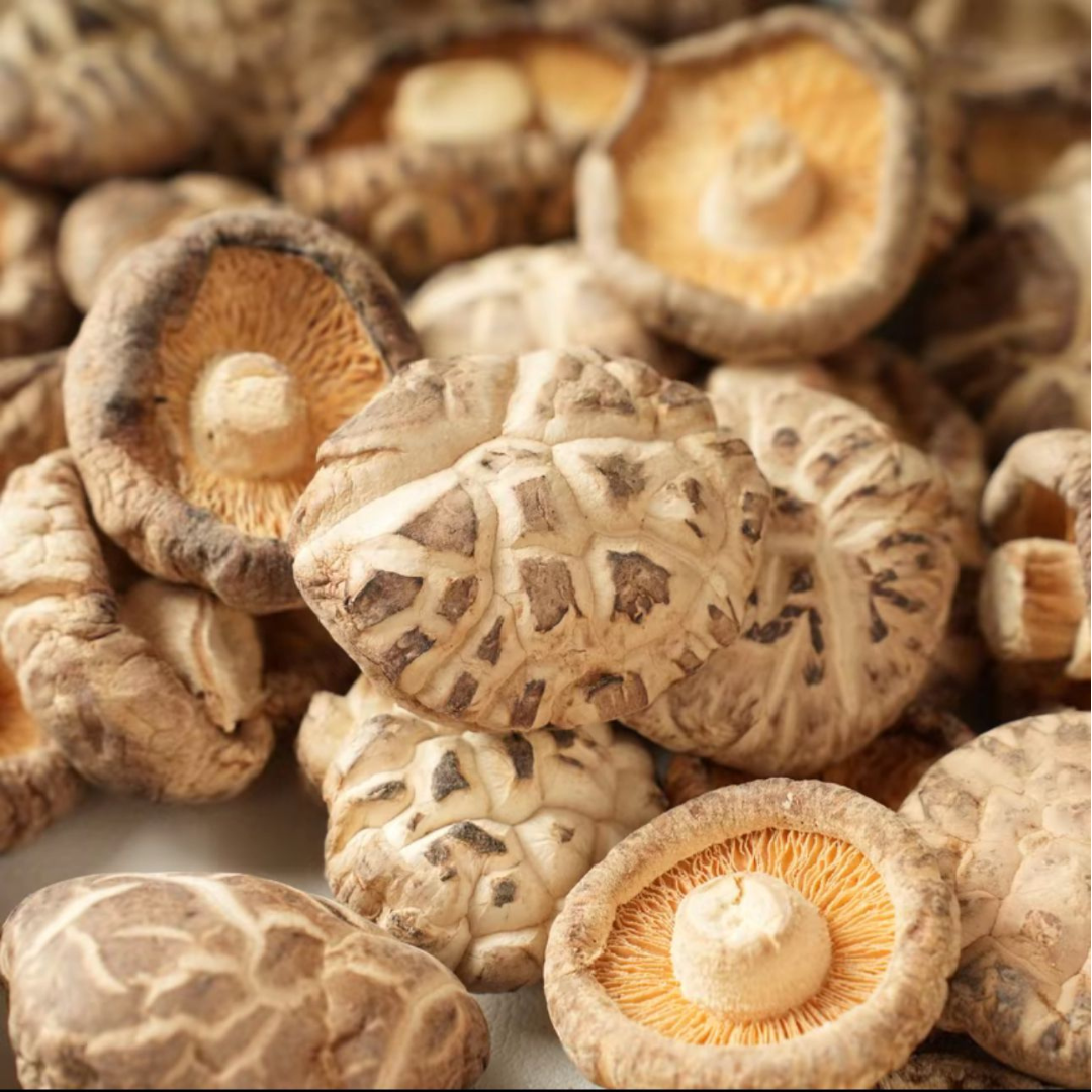 Sun-Dried Premium Grade Shiitake Mushroom