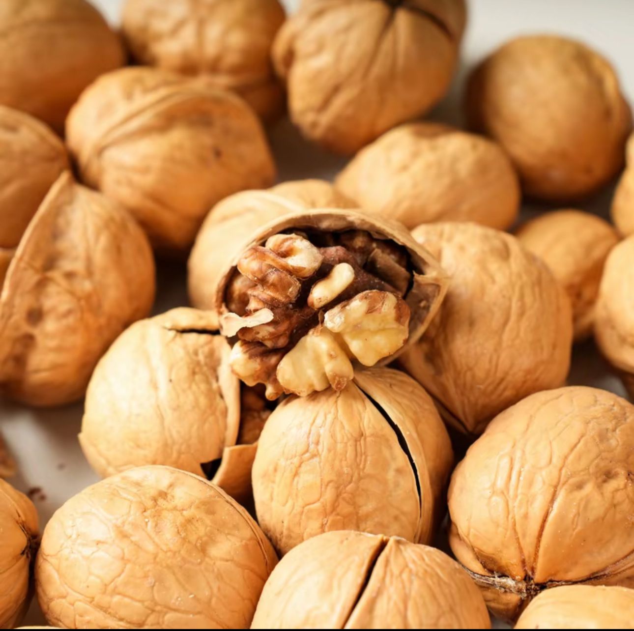 Sweetened Premium XL Walnuts Natural Healthy Snack Dried Goods Brain Food 288grams